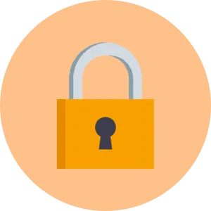 Vulnerability Disclosure Program
